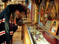 san_frantsisko_sobor_vsekh_skorbiaschikh_radost_3