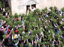 Празднование Входа Господнего в Иерусалим (Вербное воскресенье) в православных странах